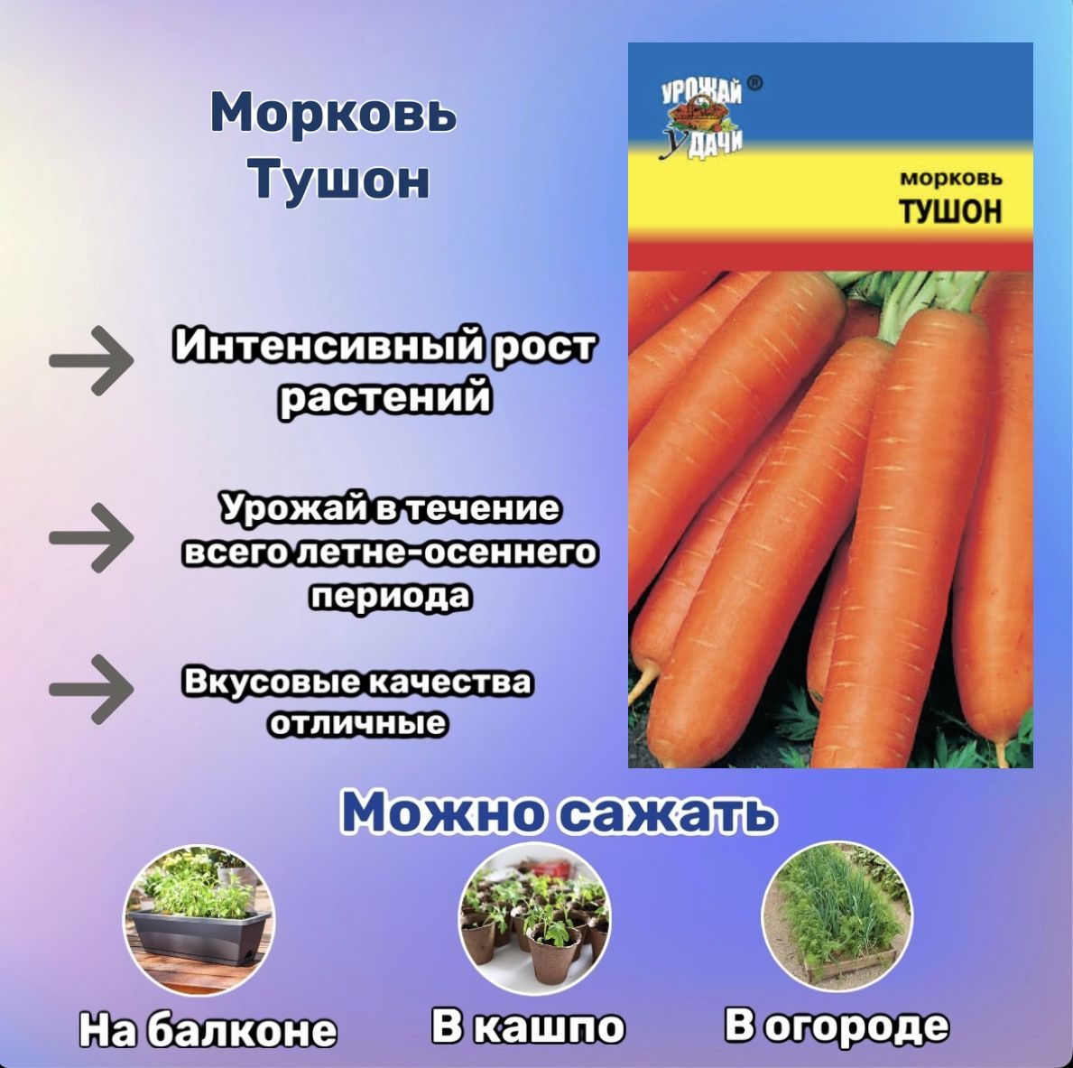 Морковь тушон фото отзывы описание