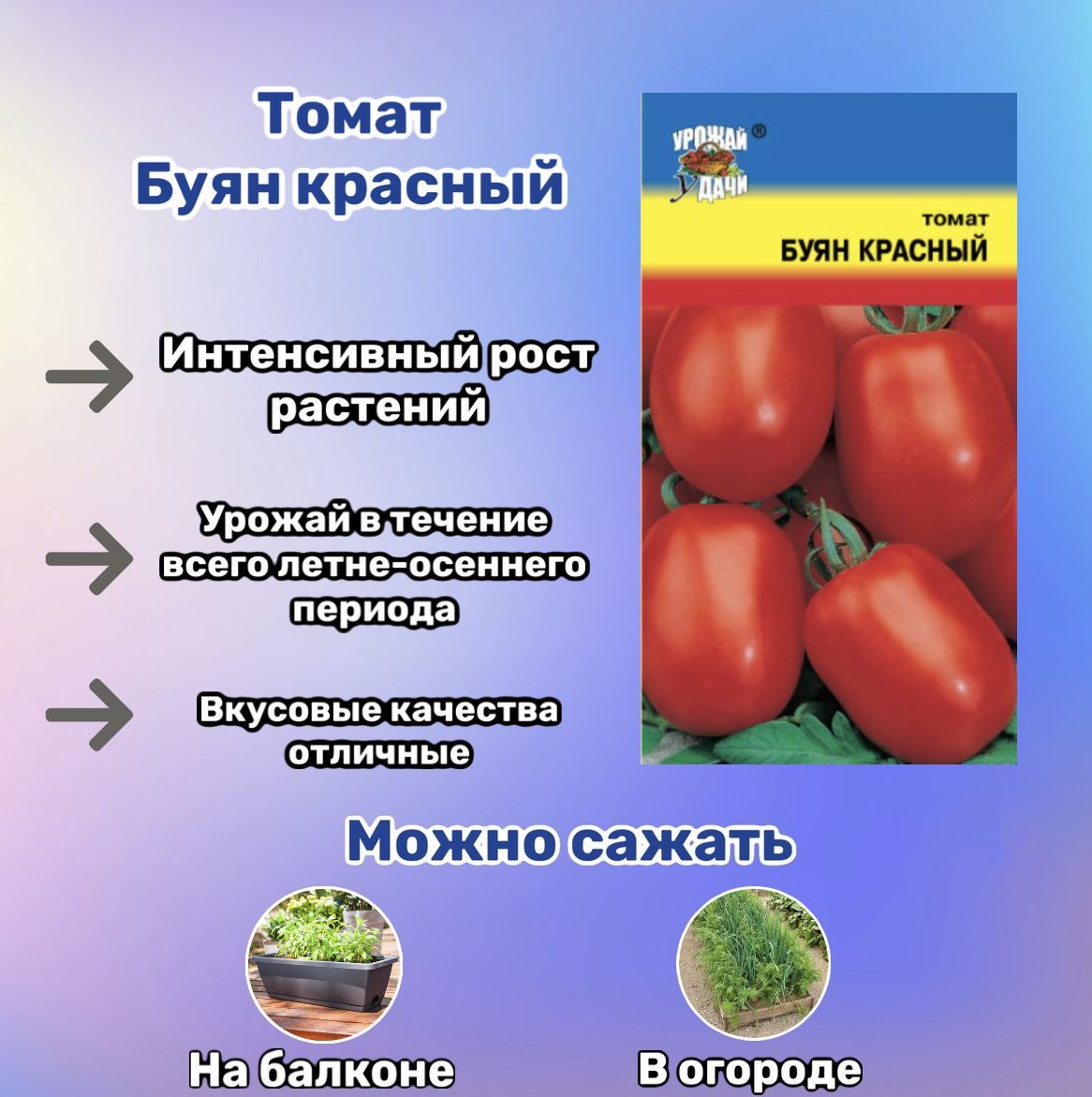 Томат Буян Желтый Отзывы Фото Урожайность