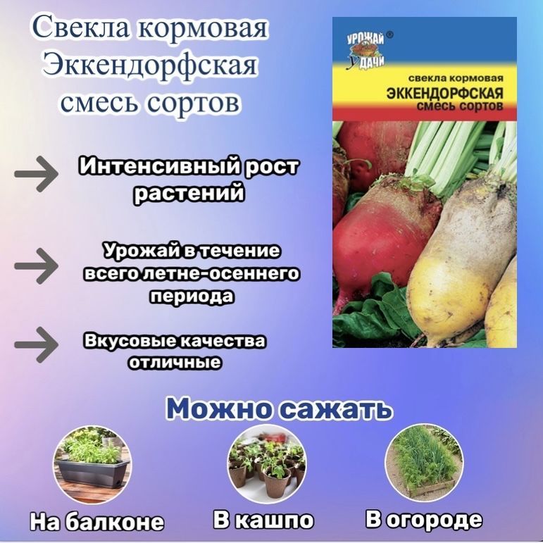 Купить Семена Свеклы Кормовой Эккендорфская Желтая