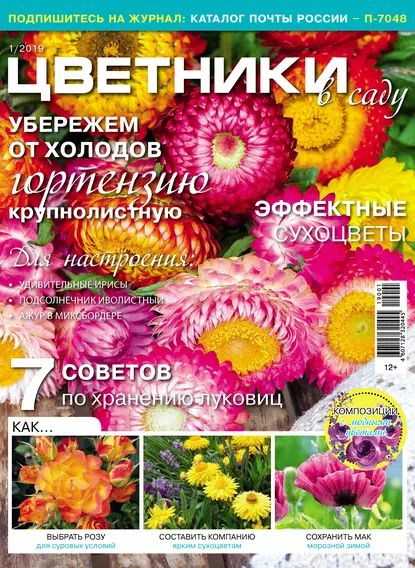 Цветники в саду No01/2019 | Электронная книга