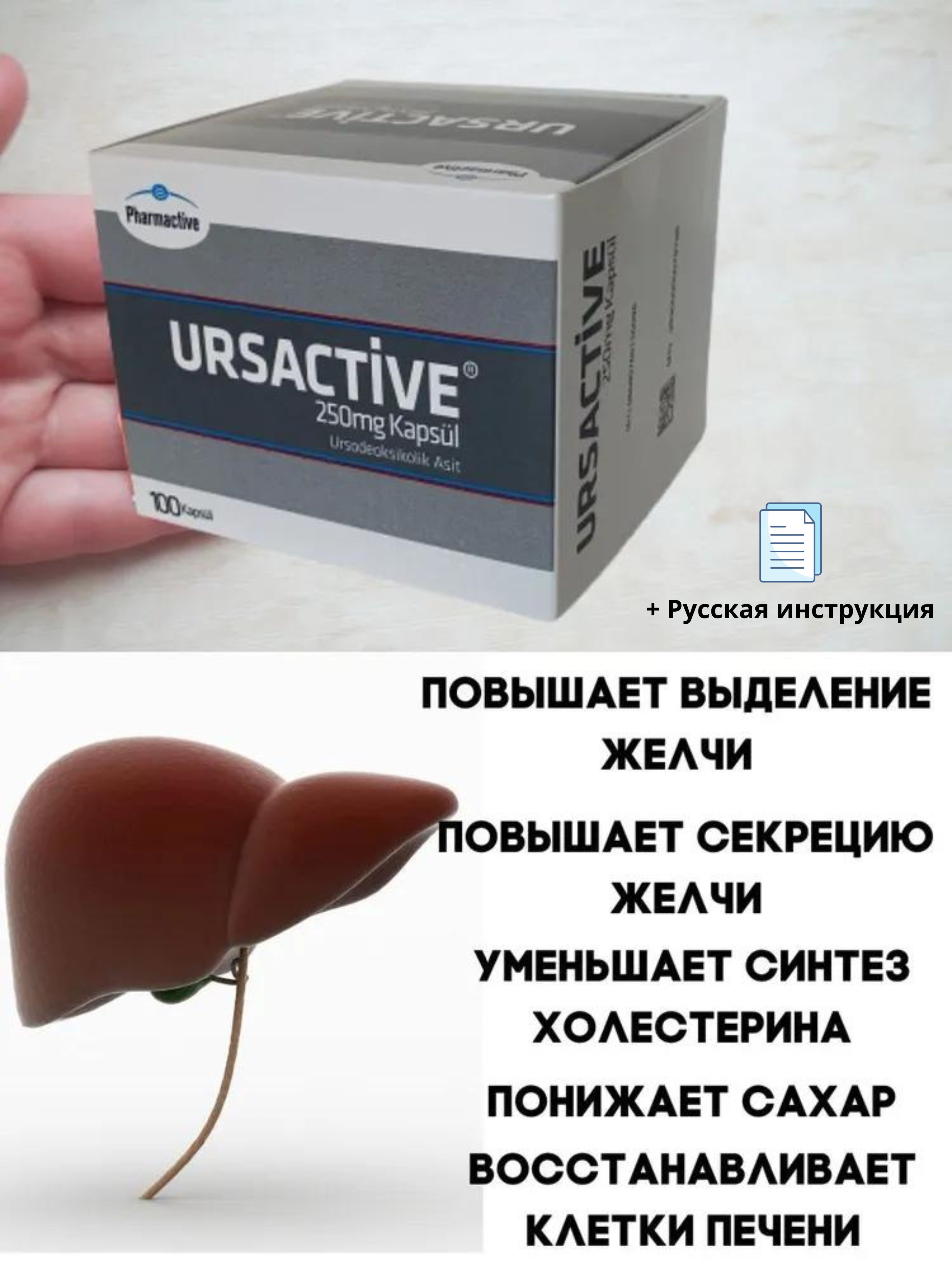 Урсактив URSACTIVE PHARMACTIVE 250МГ 100шт капсул+инструкция/ Турция -  купить с доставкой по выгодным ценам в интернет-магазине OZON (974083854)