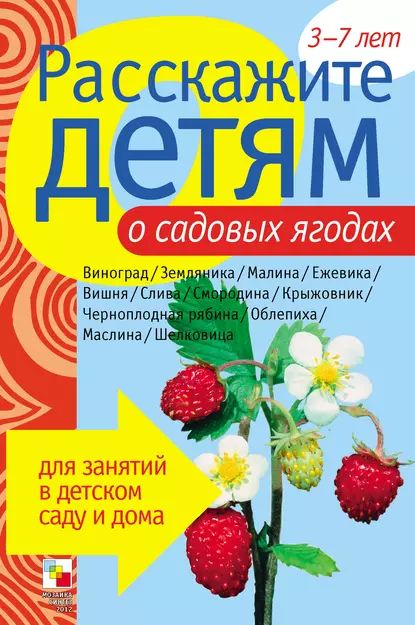 Расскажите детям о садовых ягодах | Емельянова Э. Л. | Электронная книга