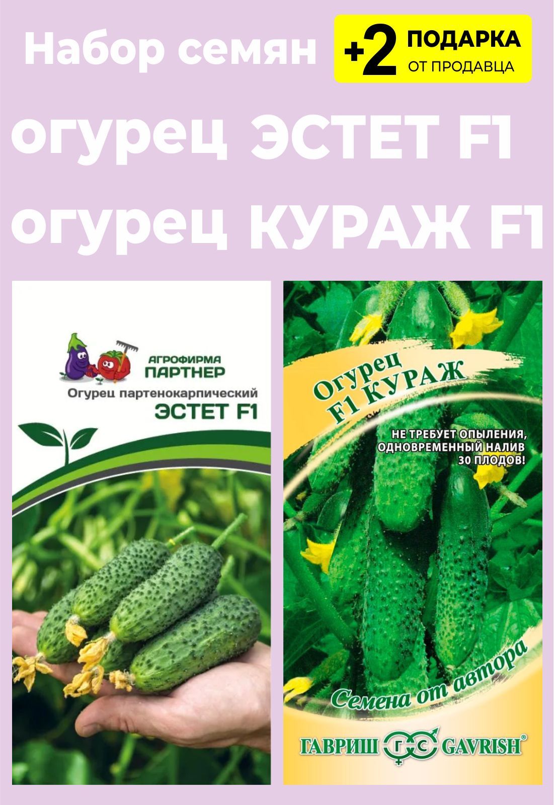 Кураж Огурцы Купить Семена