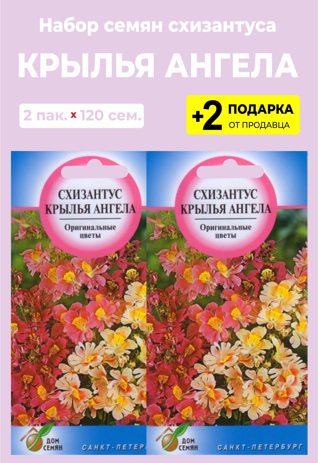 Схизантус Купить Семена В Партнере