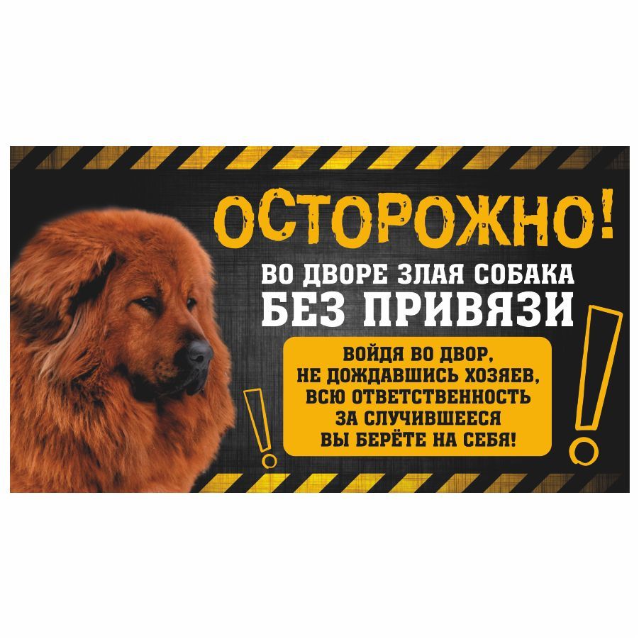 Табличка, с юмором, прикол, DANGER DOG, Осторожно! Во дворе собака без  привязи, Тибетский мастиф, 25x14 см