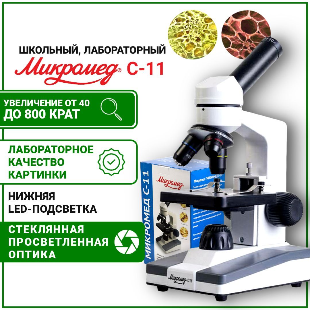 Самые популярные микроскопы (ТОП 10)