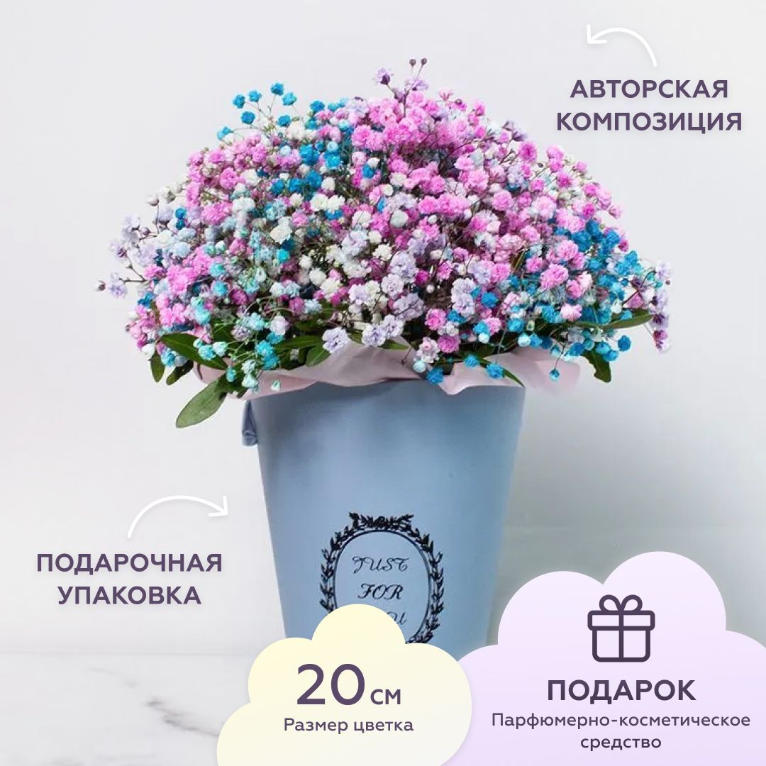 Букет Гипсофилы – купить в интернет-магазине OZON по низкой цене