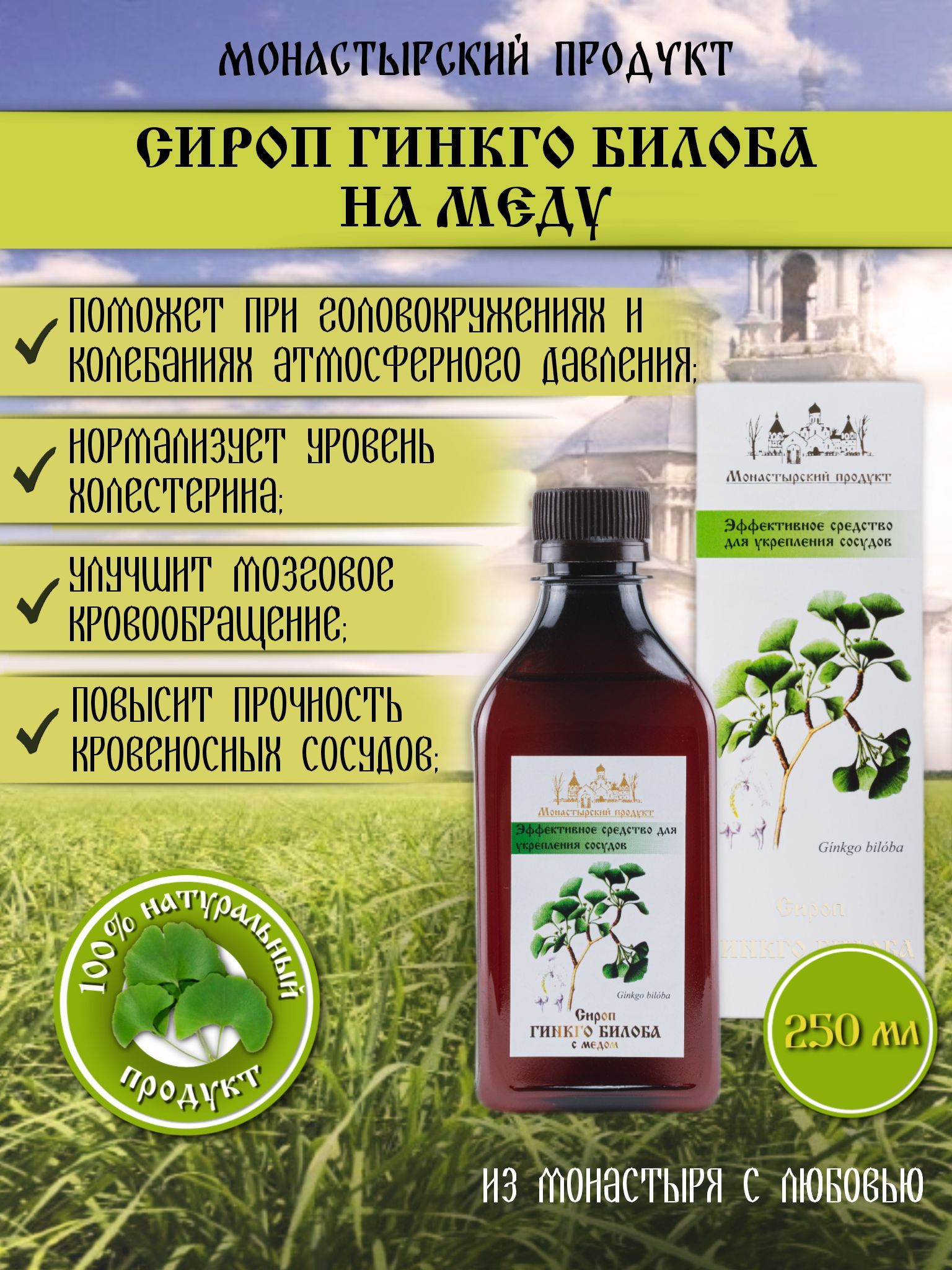 Сироп Гинкго Билоба на меду 250 мл, Монастырский продукт, натуральное  средство для профилактики и укрепления сосудов - купить с доставкой по  выгодным ценам в интернет-магазине OZON (1047193826)