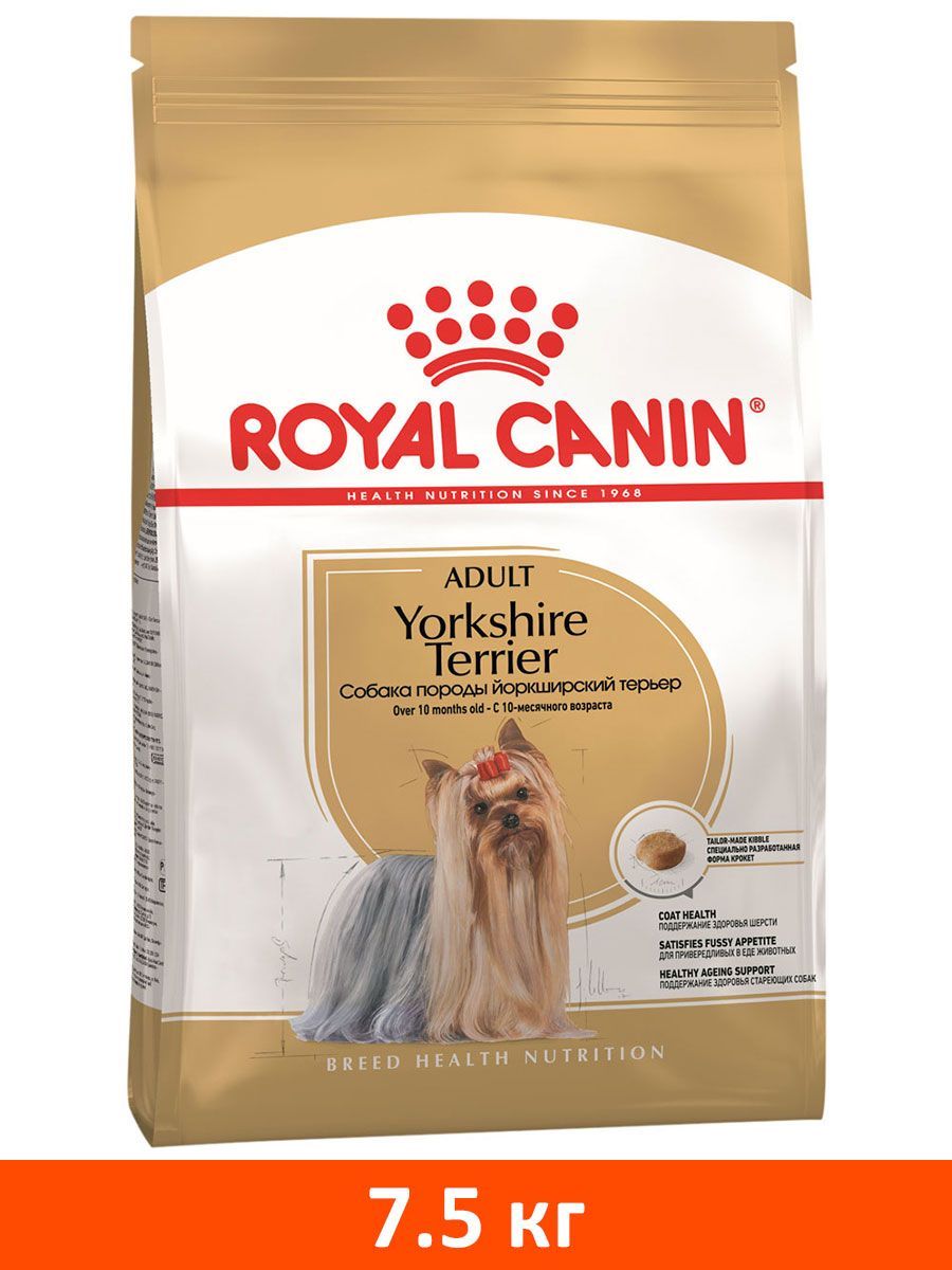 Royal canin breed health nutrition sale yorkshire terrier adult dry dog food