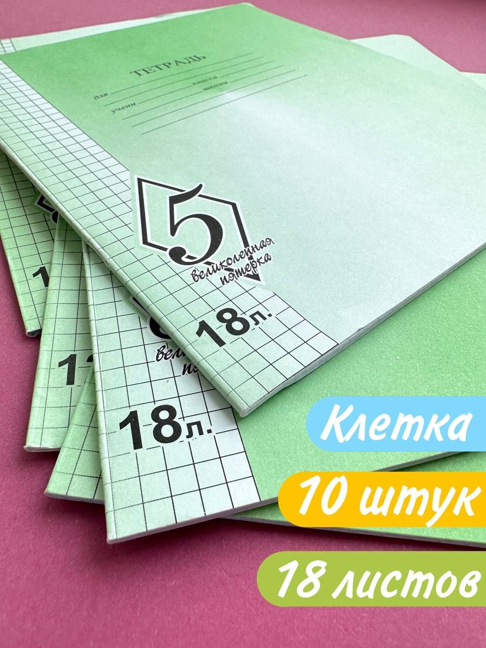 Тетради в клетку 18 листов Великолепная пятерка набор 10 шт.