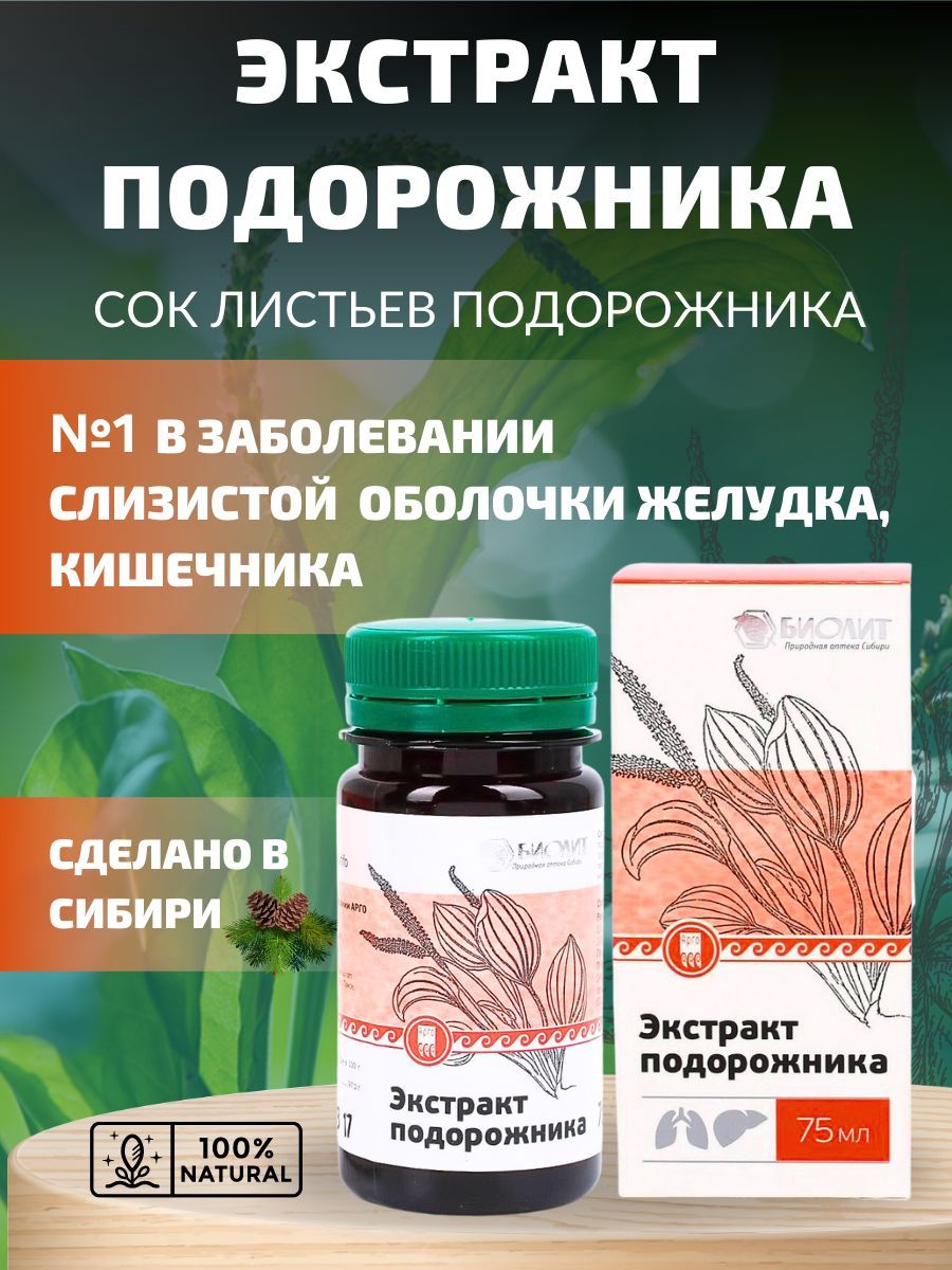 подорожник арго