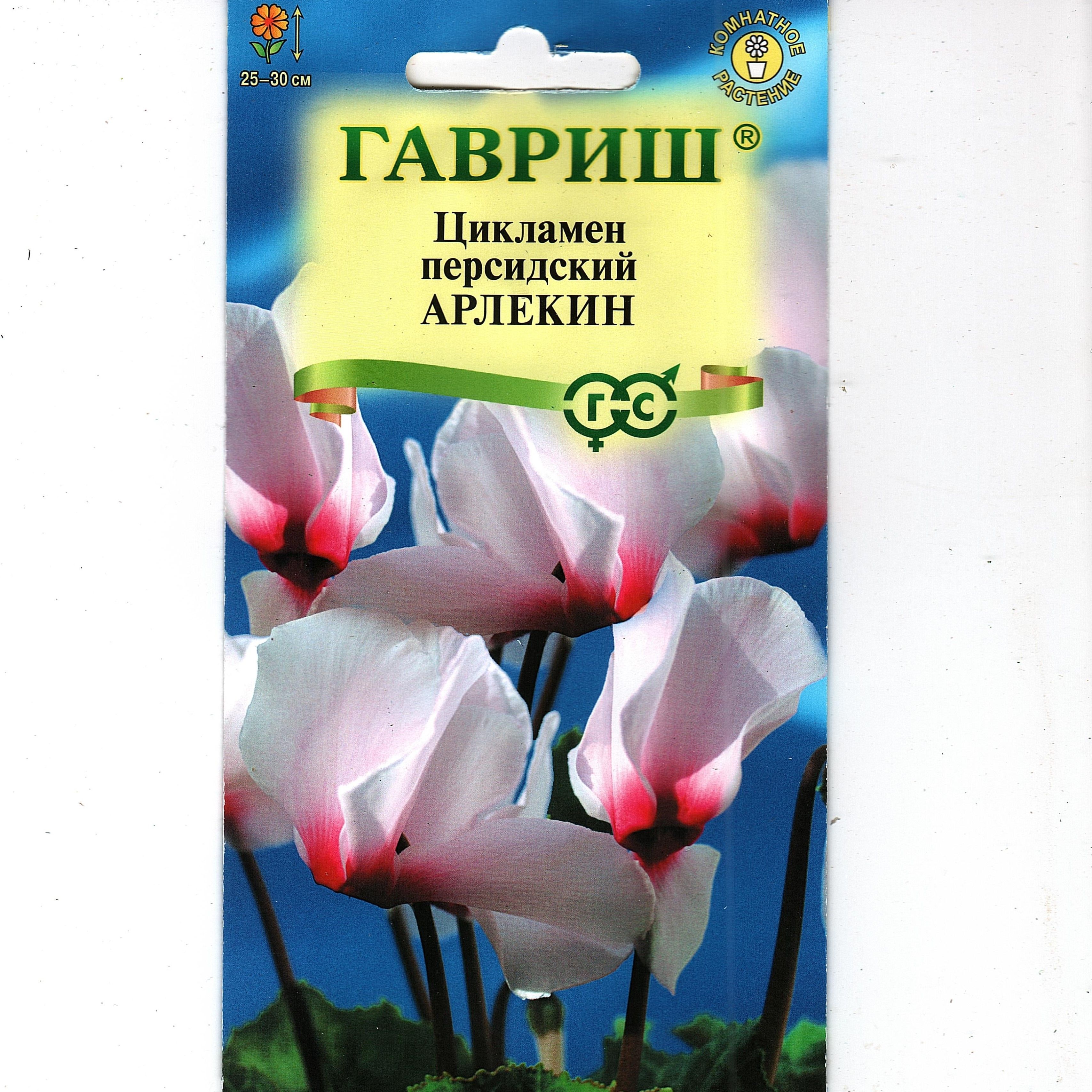 Купить Семена Цикламена Недорого