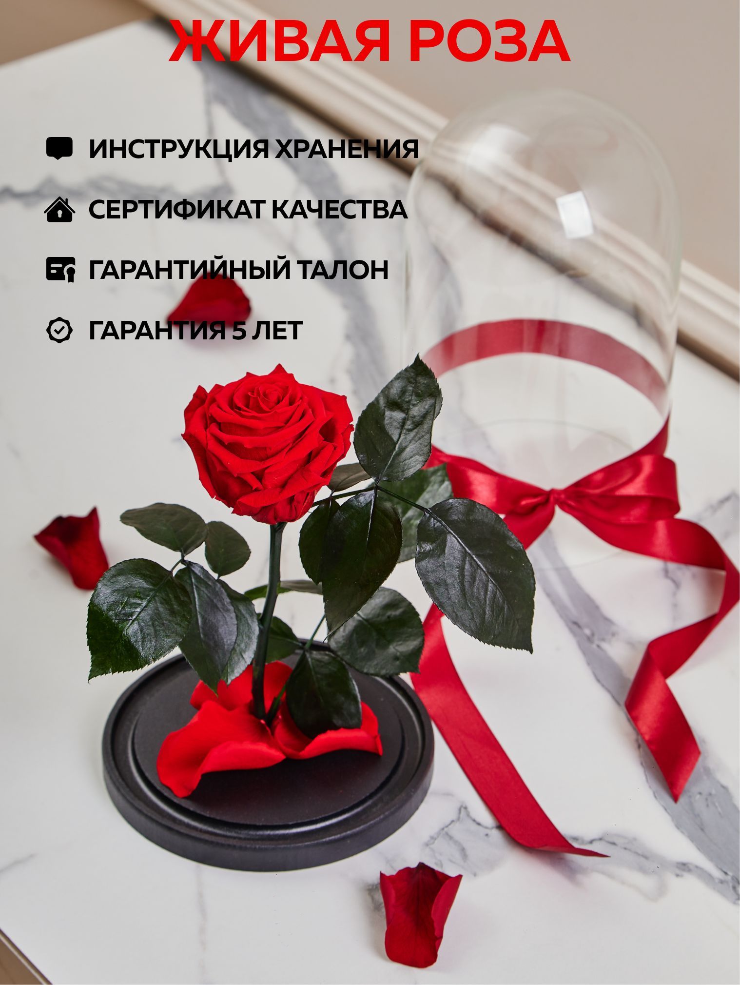 Купить Живые Розы
