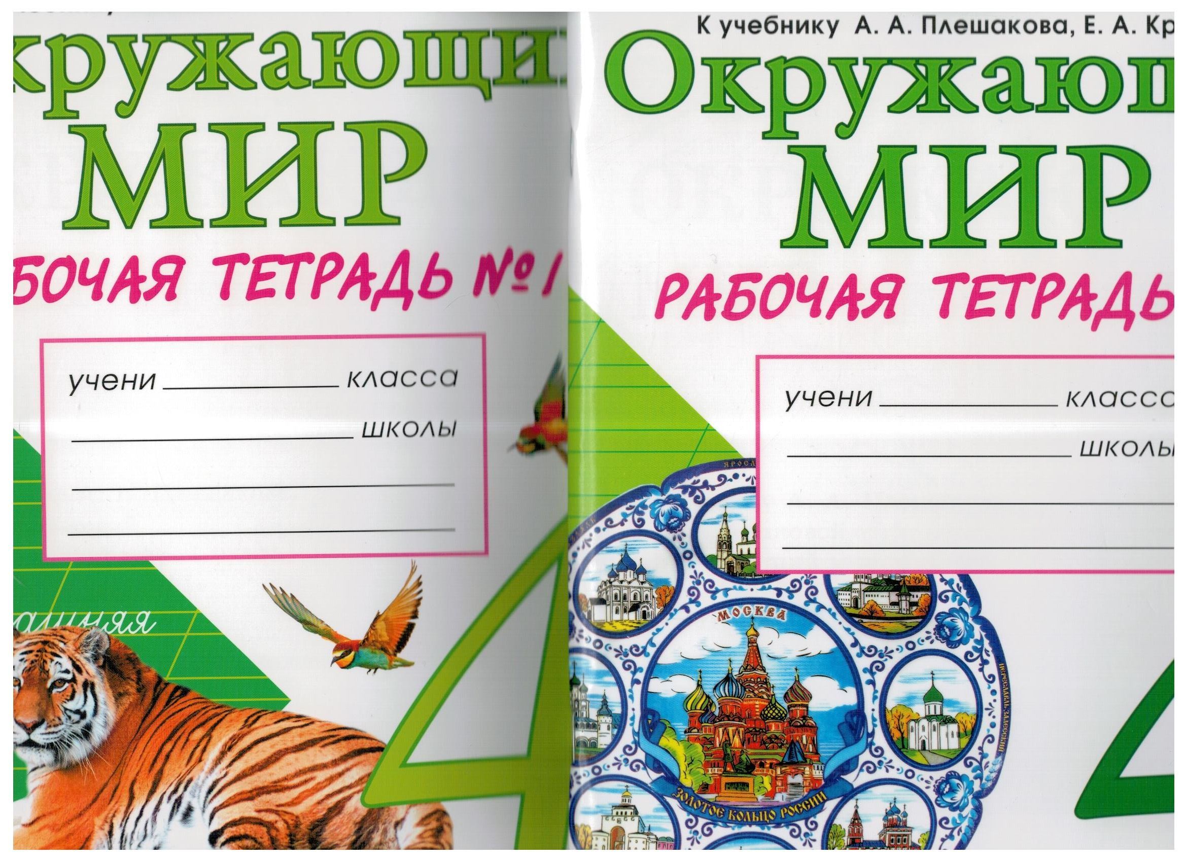 Окружающий мир. 4 класс. Рабочая тетрадь. В 2-х частях (Комплект) | Соколова  Наталья Алексеевна - купить с доставкой по выгодным ценам в  интернет-магазине OZON (1140380548)