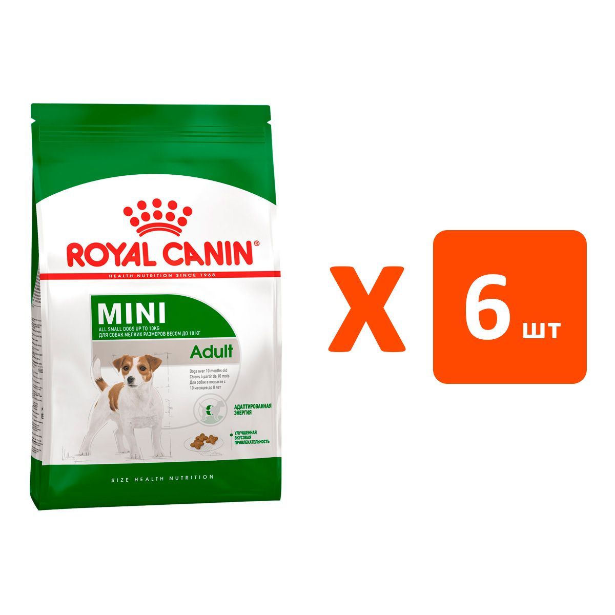 Royal canin для собак x small. Royal canin для собак x small