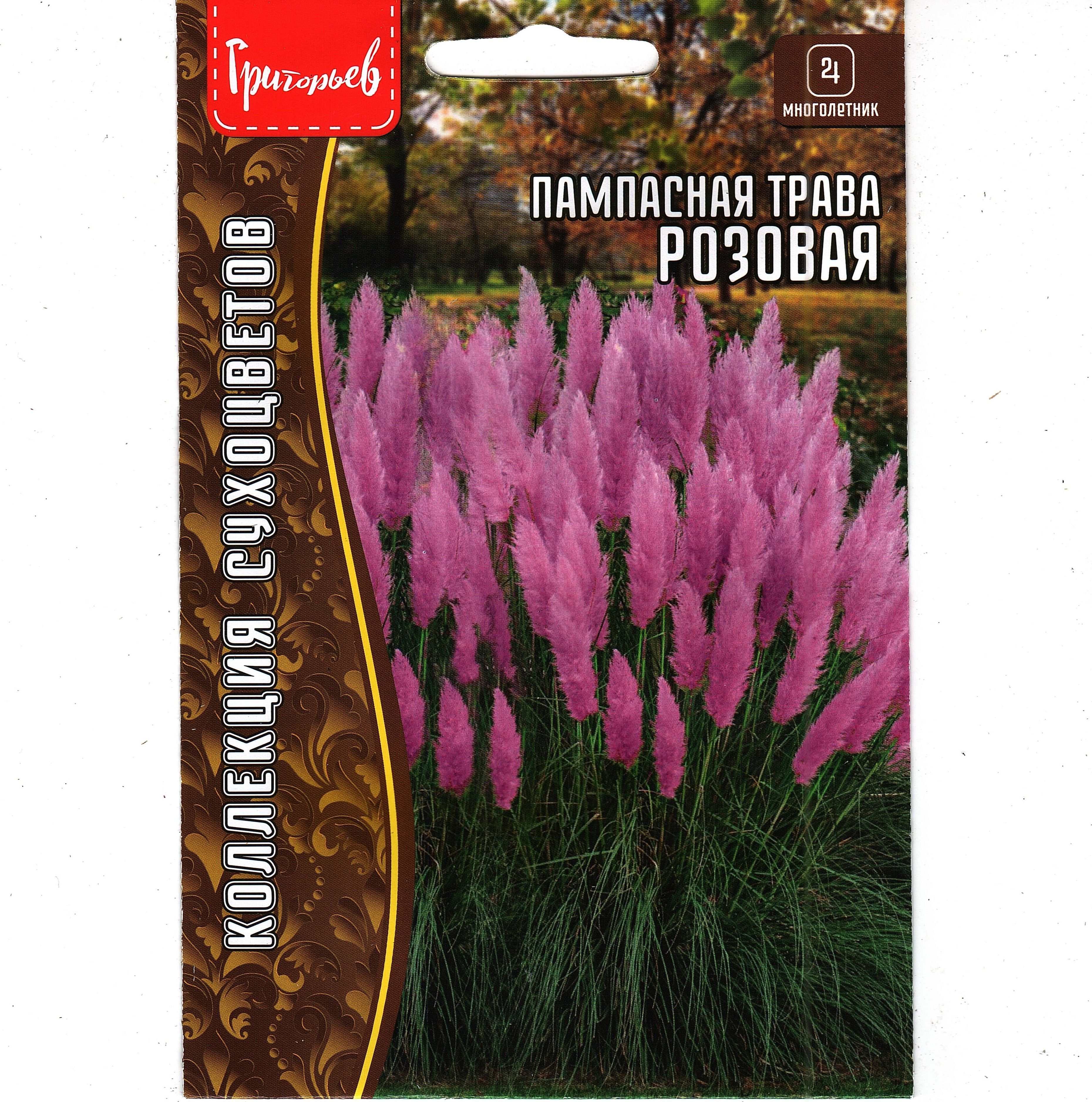 Пампасная Трава Семена Фото