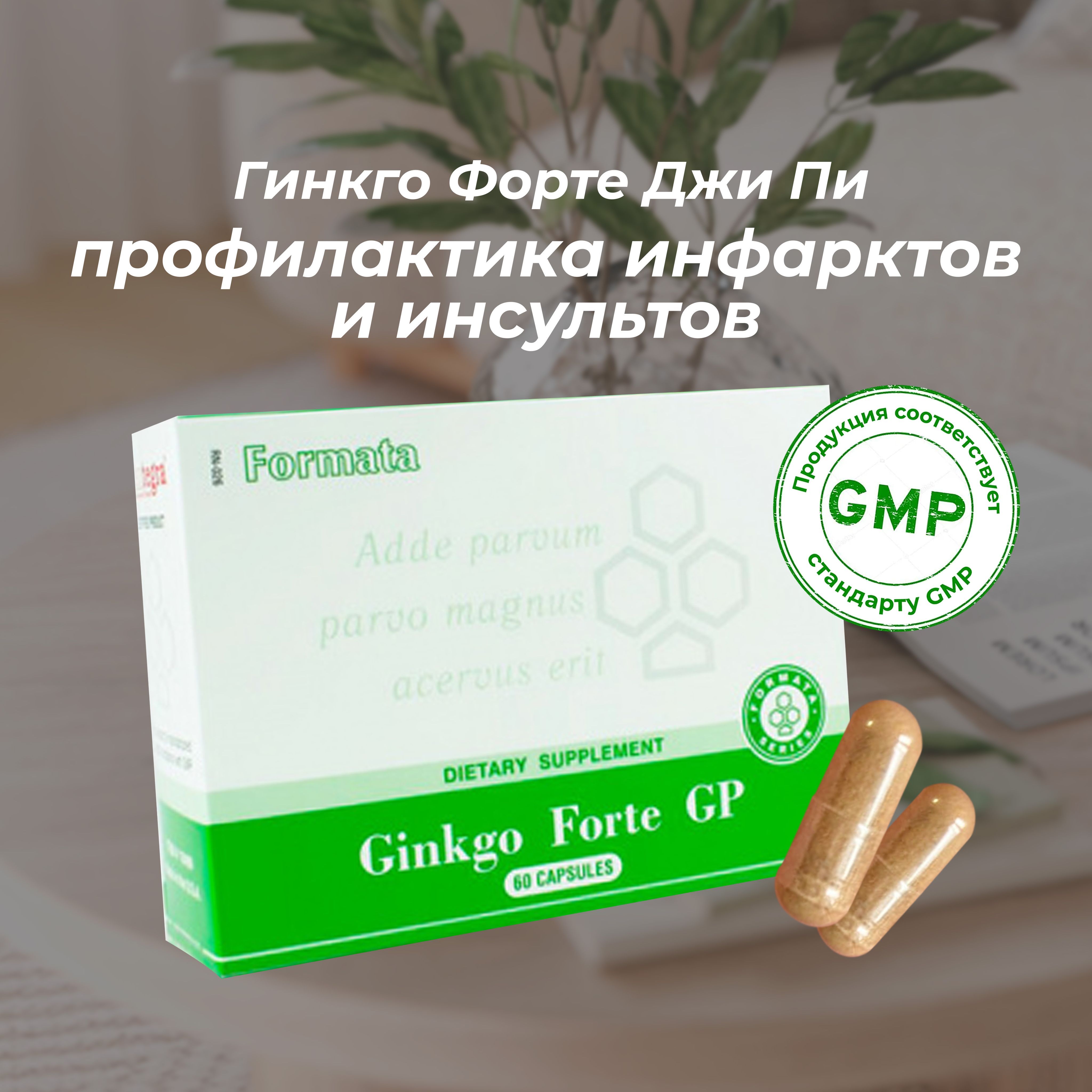 Gingko Forte GP- Гинкго билоба экстракт в капсулах от Сантегра - БАД для улучшения памяти, мозга и внимания