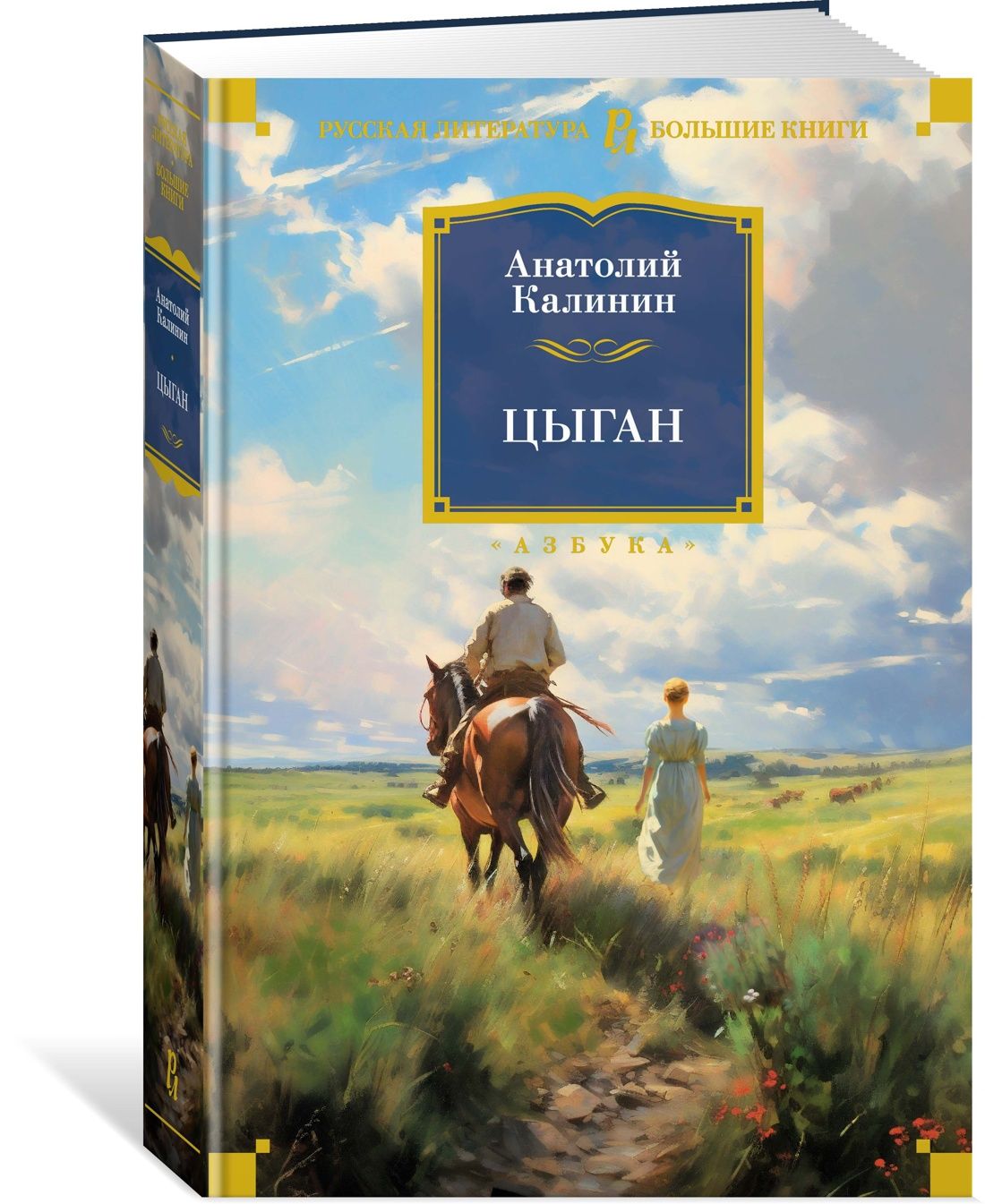 Цыган | Калинин Анатолий - купить с доставкой по выгодным ценам в  интернет-магазине OZON (1197524542)