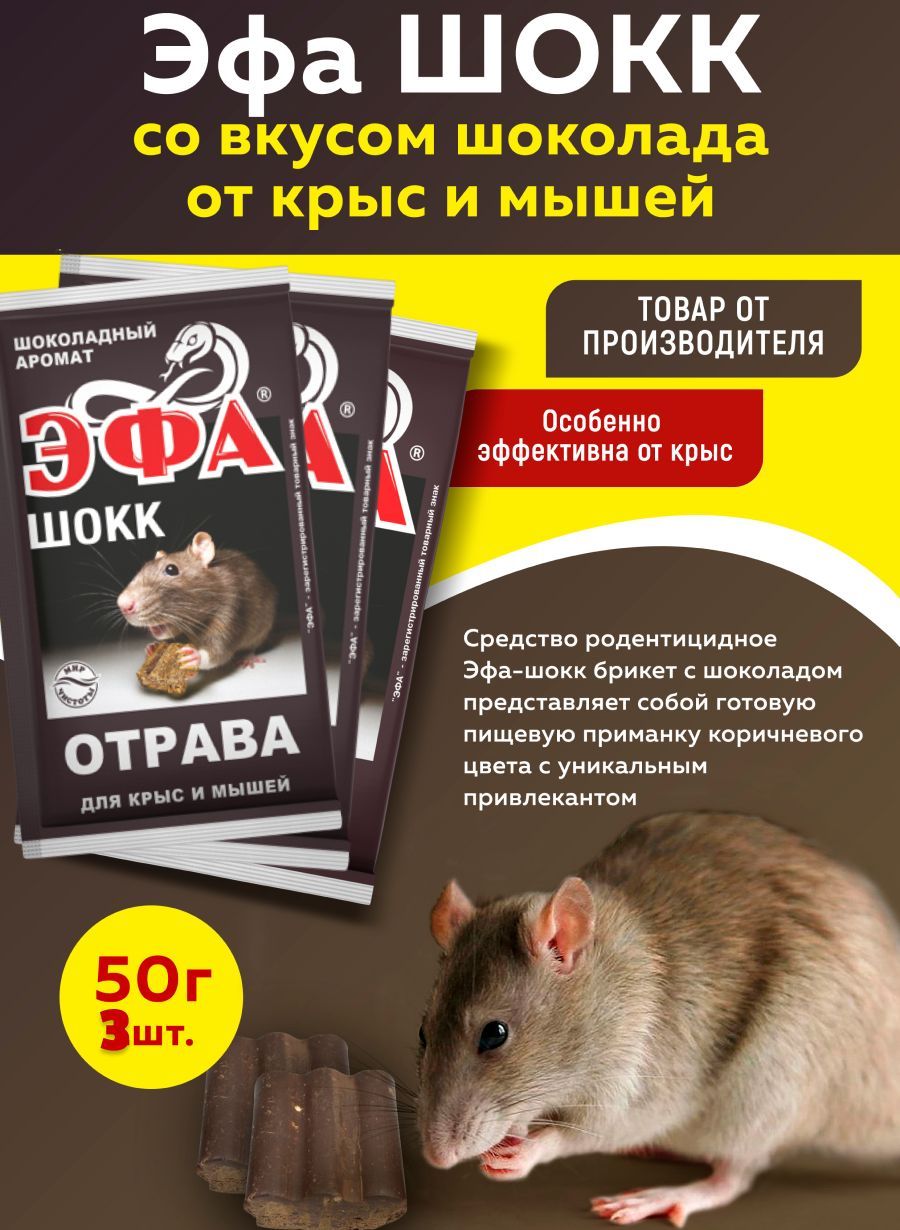 Эфа ШОКК со вкусом шоколада от крыс и мышей 50г 3 шт - купить с доставкой  по выгодным ценам в интернет-магазине OZON (1202061961)