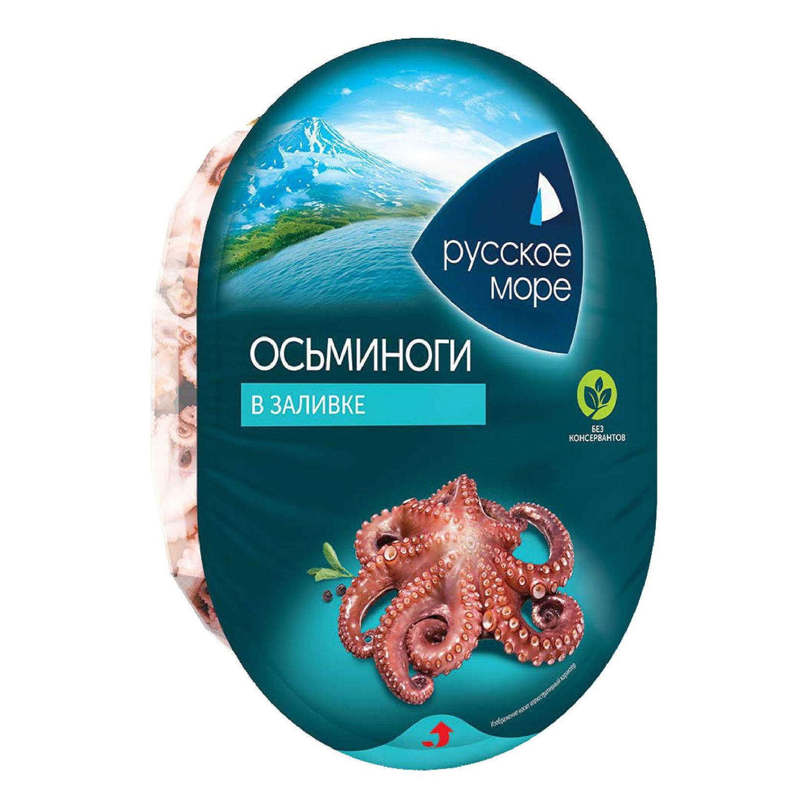 россия осьминог. прическа осьминог. длиннощупальцевый осьминог. карикатура на россию в виде спрута. карта россии осьминог.