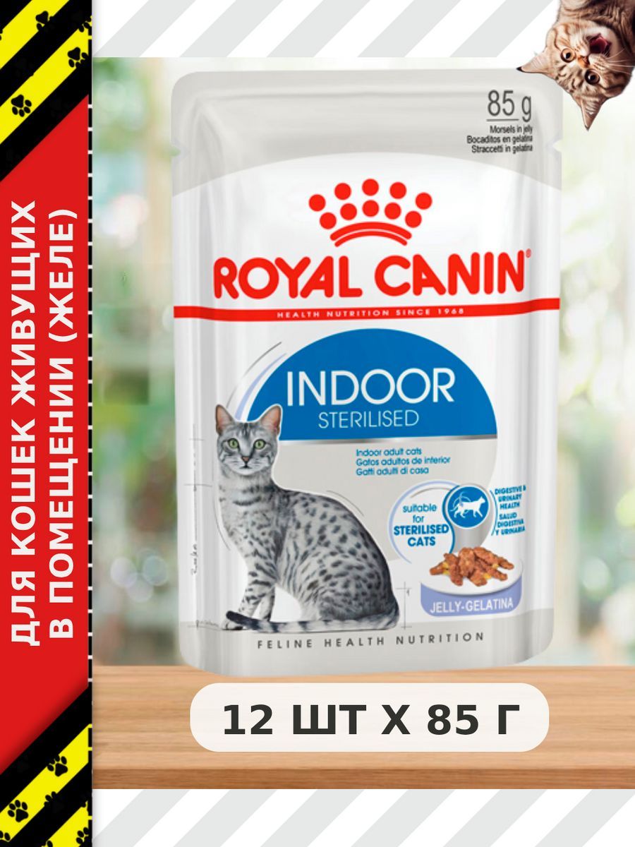 Indoor sterilised