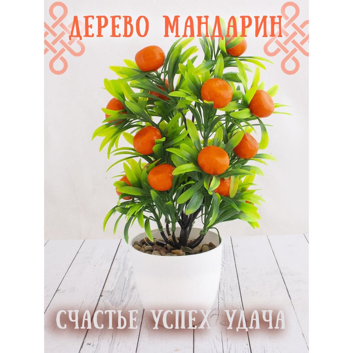 Декоративные Деревья Купить В Крыму