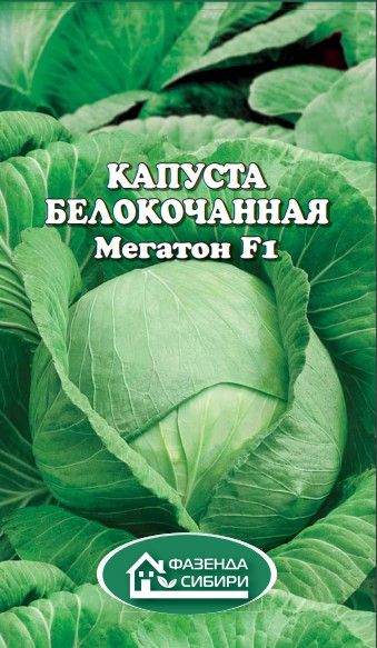 Купить Семена Капусты Мегатон Оптом