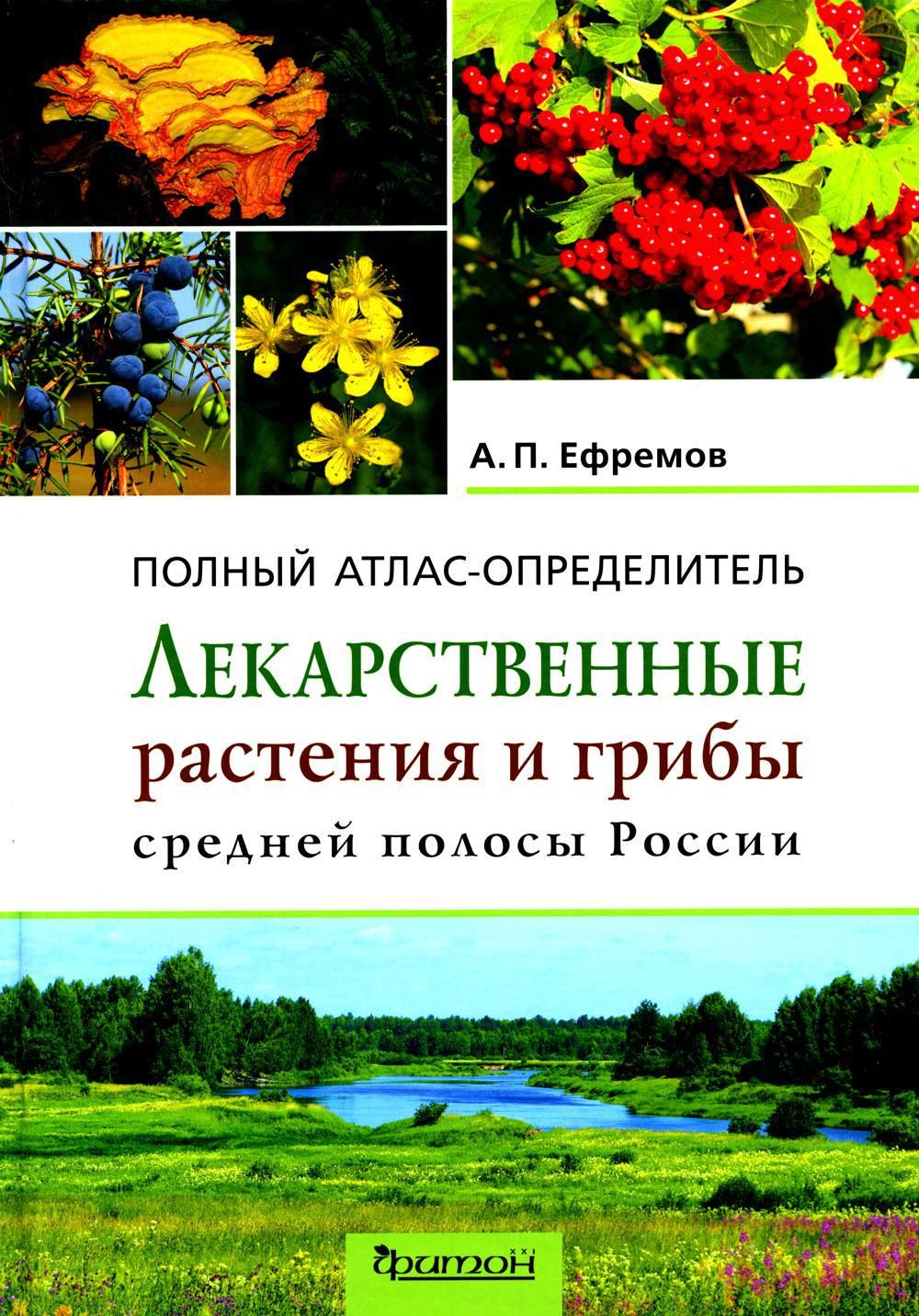 Лекарственные растения и грибы средней полосы России: Полный  атлас-определитель | Ефремов Александр Павлович - купить с доставкой по  выгодным ценам в интернет-магазине OZON (1474298833)