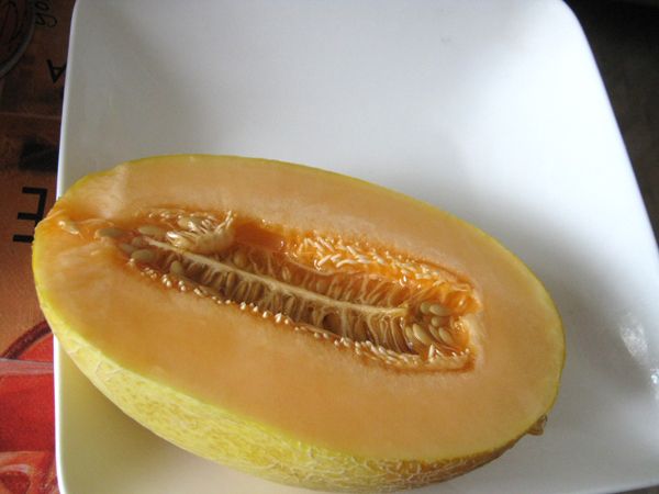 Дыня Птичье Молоко Семена Алтая Купить