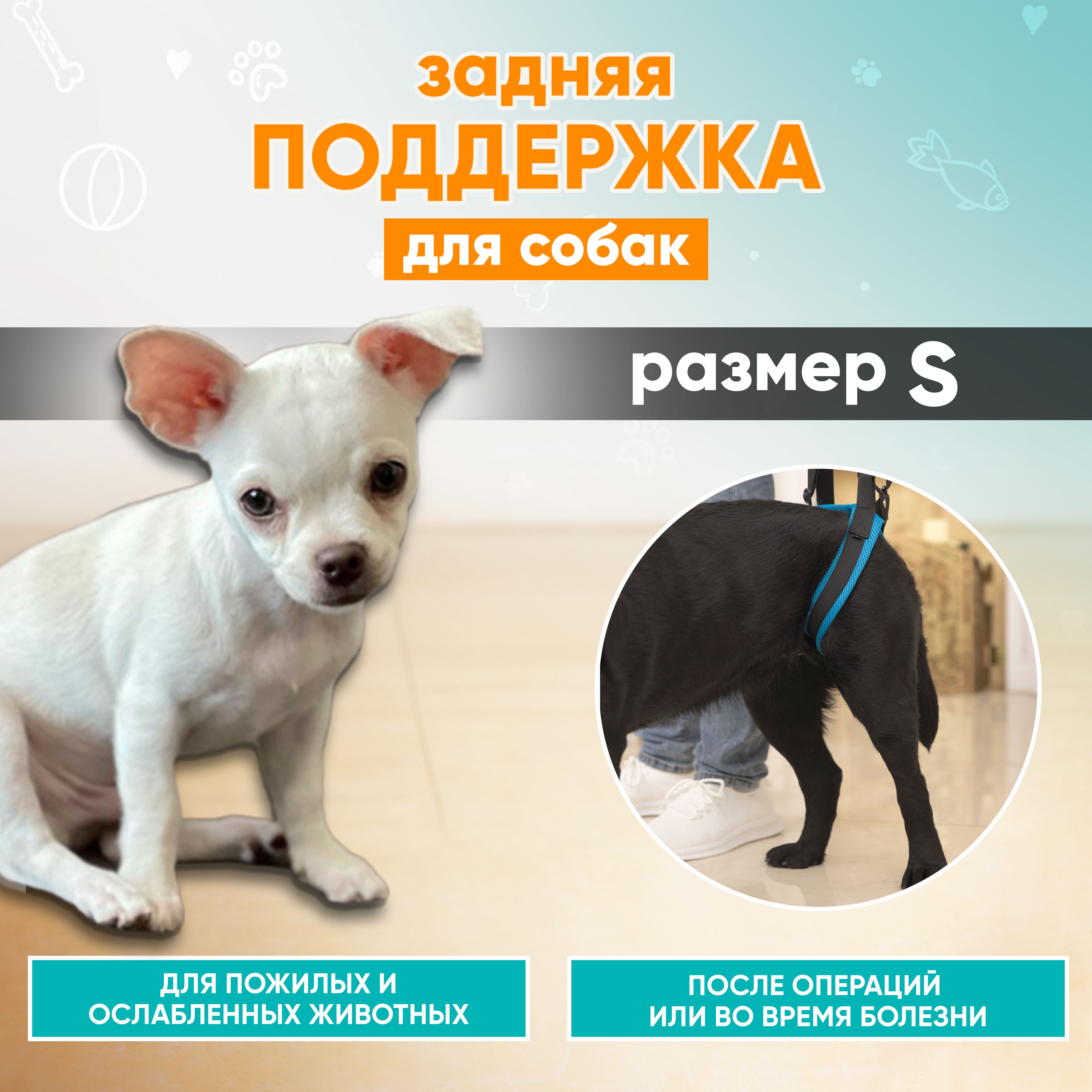 Ходунки для собак, поддержка задних лап пожилых собак, Mr Dog S