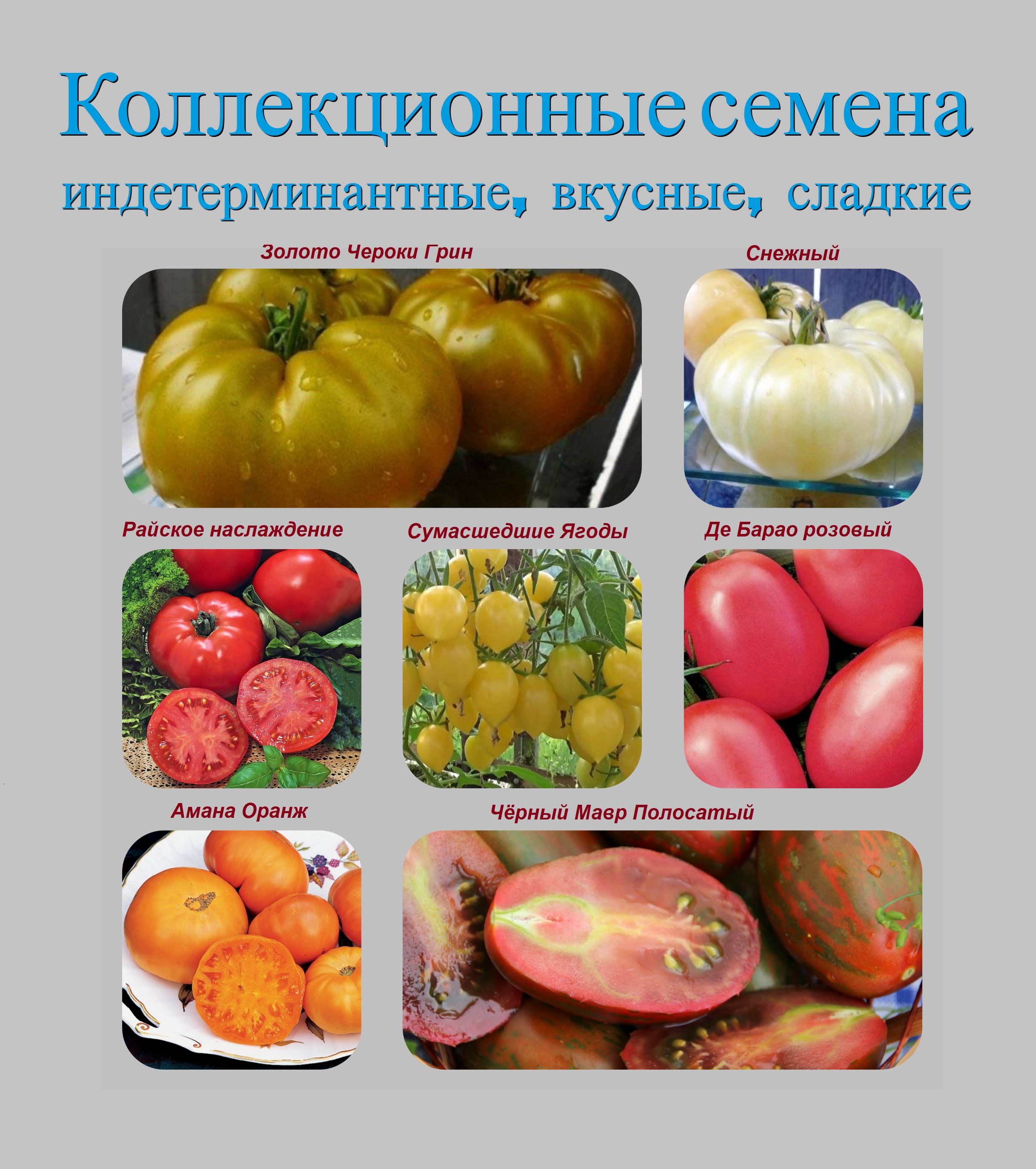 Купить Семена Томатов Розовый Спам