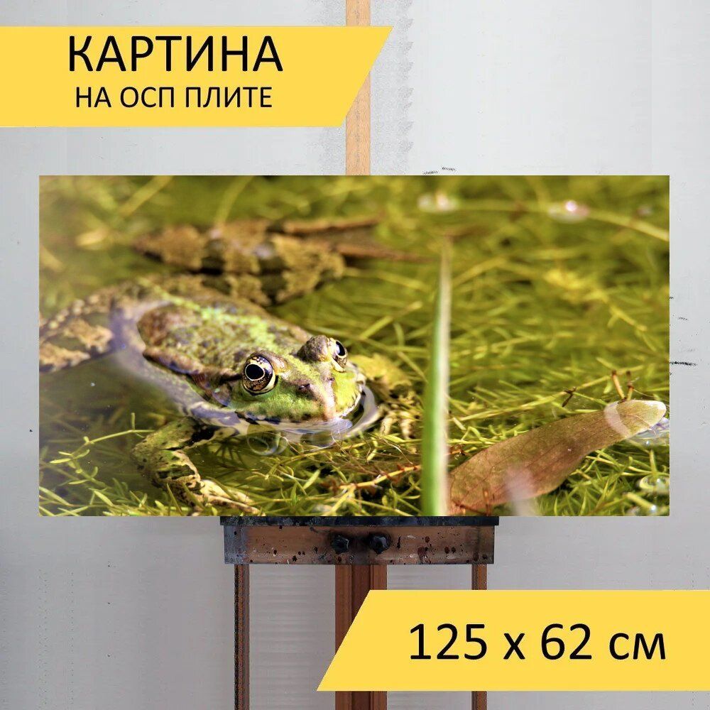 Картина реки 