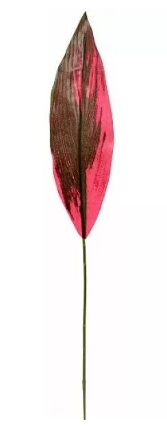 Лист карделины Таун, высота 55см #1
