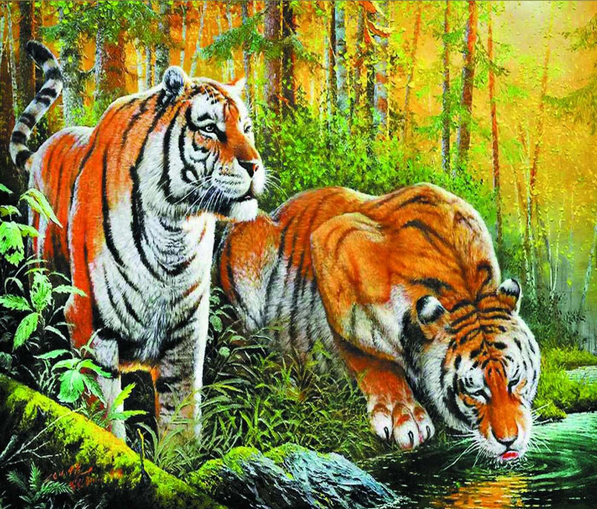 Рисунки тигров в лесу