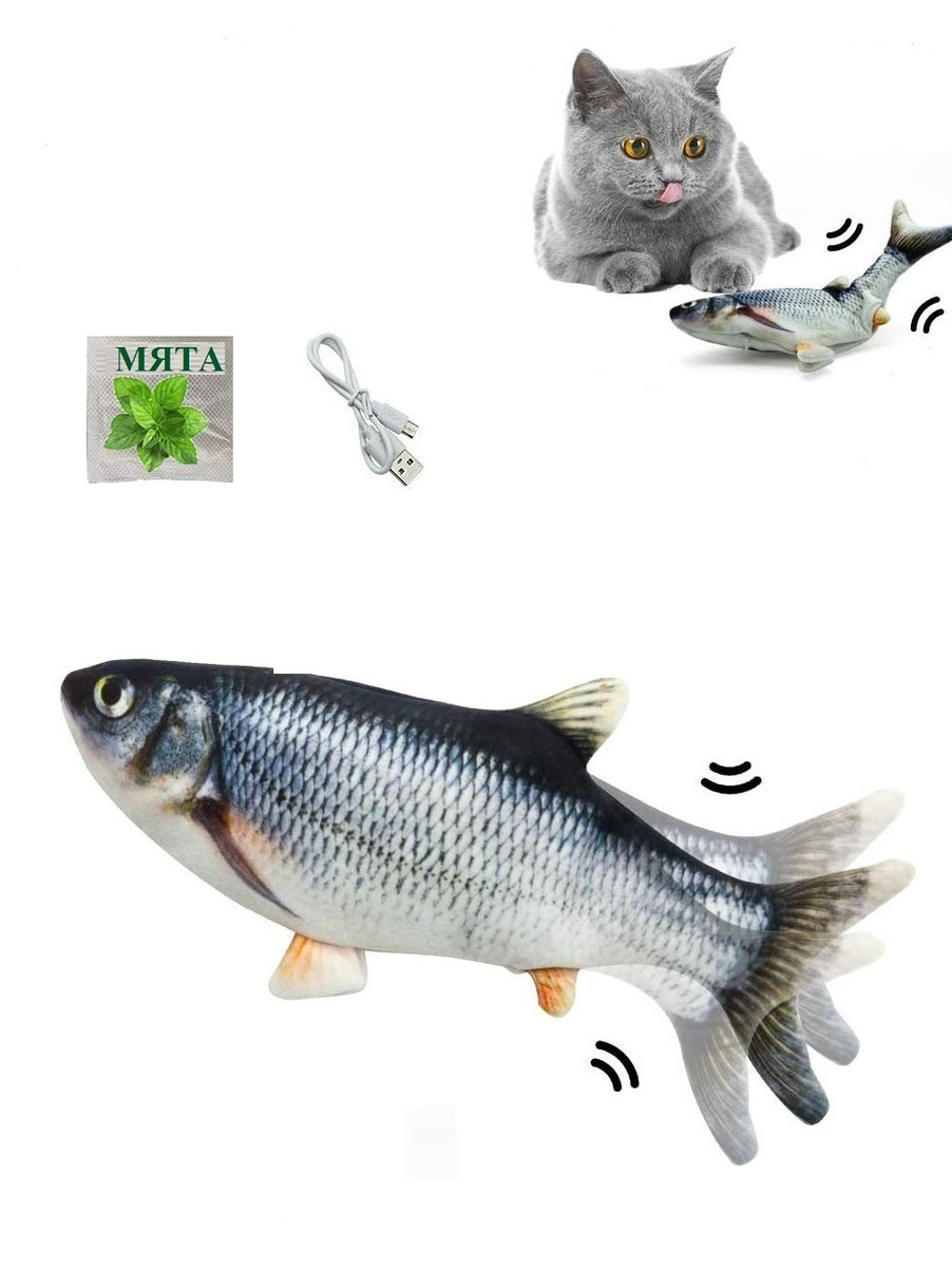 Купить Рыбу В Интернет Магазине