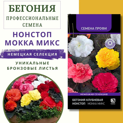 216 отзывов на Бегония клубневая "Нонстоп Мокка Микс" 10 ШТ. семян ...