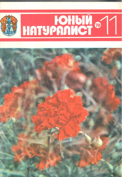Журнал "Юный натуралист" №11, 1979 - купить с доставкой по выгодным ...