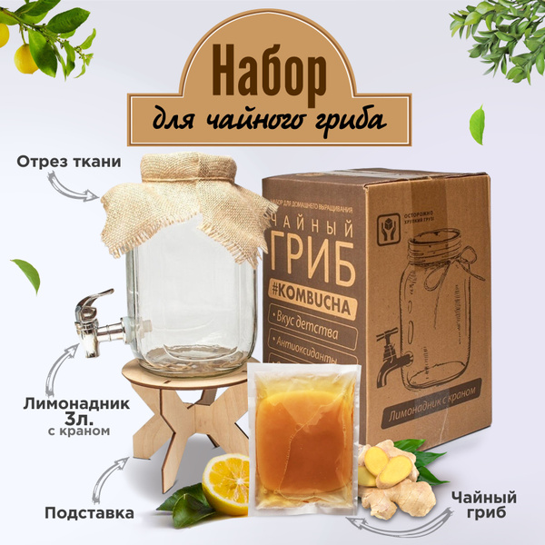 Набор для Чайного гриба. Лимонадник 3л с краном + Чайный гриб + Ткань ...