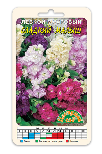 Левкои Цветущий сад МЦ Цветочный АРОМАТ_1 - купить по выгодным ценам в ...