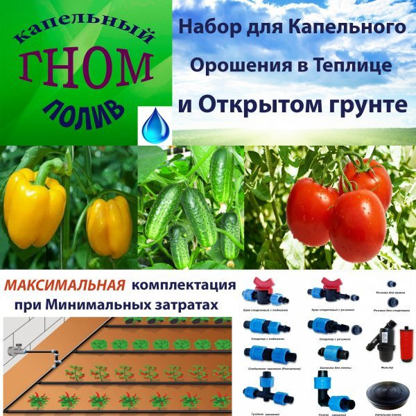 Капельный полив "ГНОМ-10", 2 линии, 10 метров, 30 растений - купить по ...