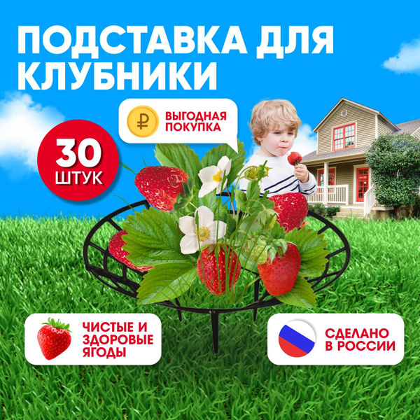 Подставка под клубнику/Опора для клубники/Кустодержатель для клубники ...