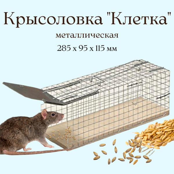 Крысоловка клетка (ловушка) - купить с доставкой по выгодным ценам в ...