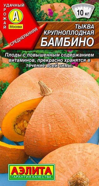 Тыквы Аэлита Тыквы - купить по выгодным ценам в интернет-магазине OZON ...