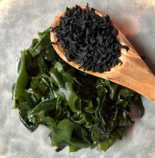 Водоросли Wakame сухие, 500г купить на OZON по низкой цене (731264199)