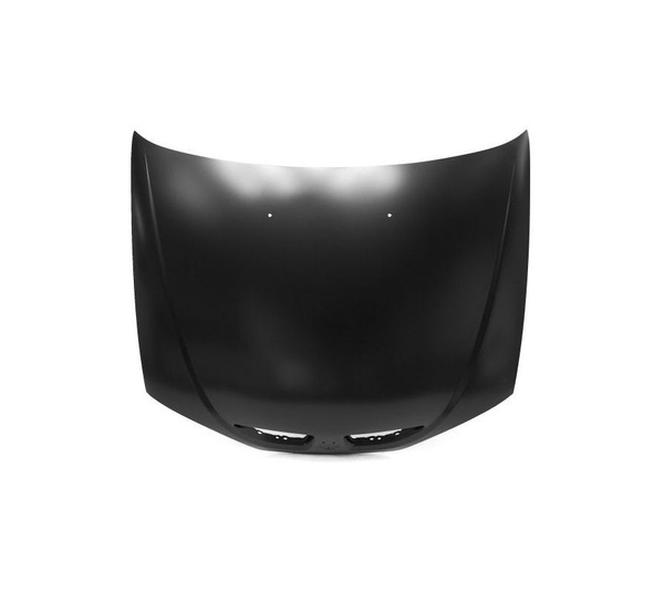 Капот RENAULT: MEGANE 99-03 - Tyg арт. RN20013A - купить по выгодной ...