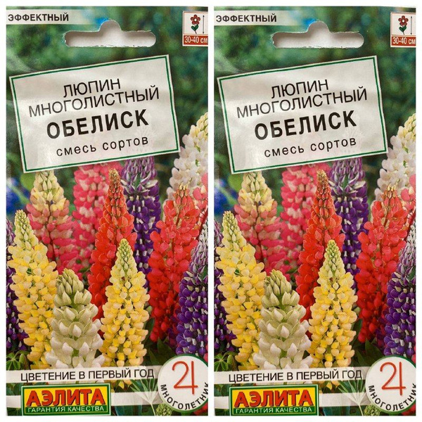 Люпины многолетние, Люпин Аэлита Семена цветов и растений Люпин Обелиск ...