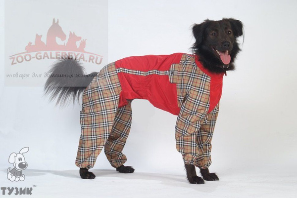 ТУЗИК комбинезон холодный для породы гриффон сука - купить с доставкой ...