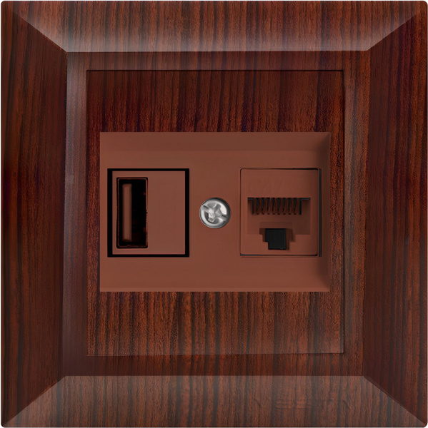 Розетка для USB + сетевого кабеля LAN Vesta-Electric Roma WOOD - купить ...