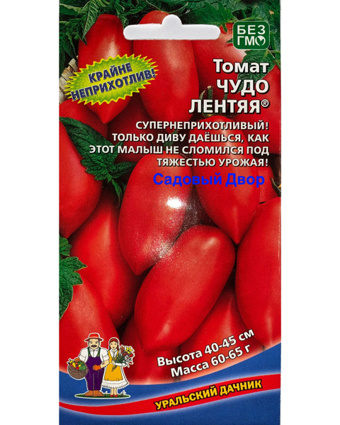 Томат чудо лентяя описание отзывы фото