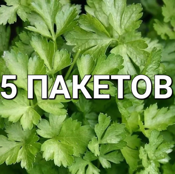 Петрушка Mr.Koff растения для дачи, сада и огорода_зеленый - купить по ...
